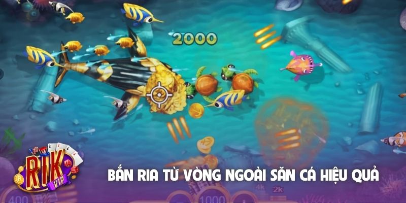 Bắn ria từ vòng ngoài săn cá hiệu quả