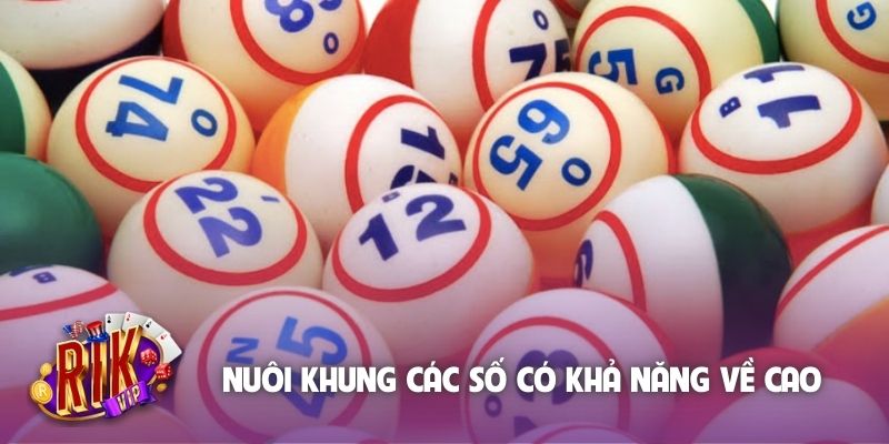 Nuôi khung các số có khả năng về cao